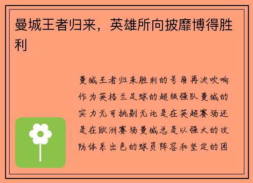 曼城王者归来，英雄所向披靡博得胜利