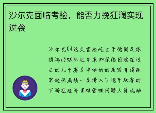沙尔克面临考验，能否力挽狂澜实现逆袭