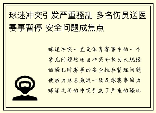 球迷冲突引发严重骚乱 多名伤员送医赛事暂停 安全问题成焦点